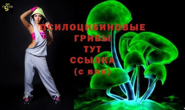 гашик Аркадак