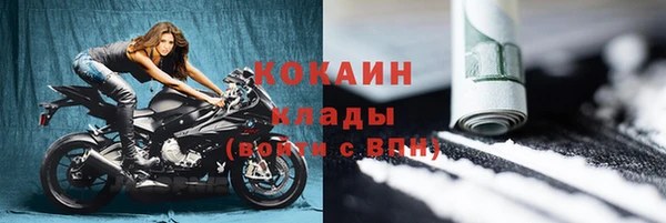прущие грибы Абаза