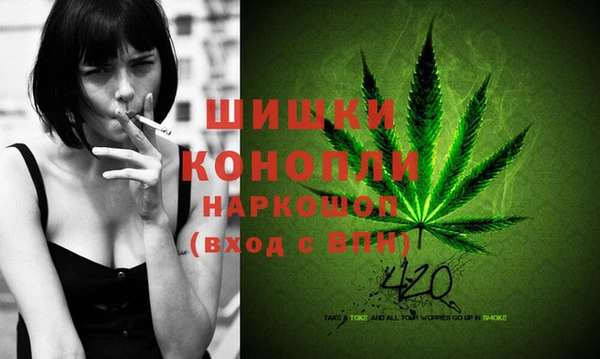 гашик Аркадак