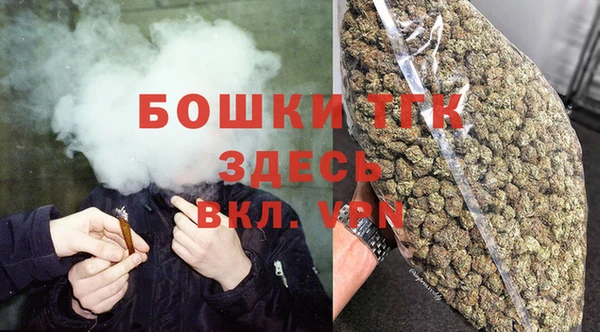 гашик Аркадак