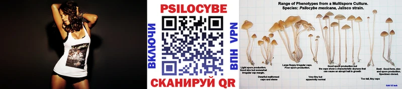 Галлюциногенные грибы мицелий Советская Гавань